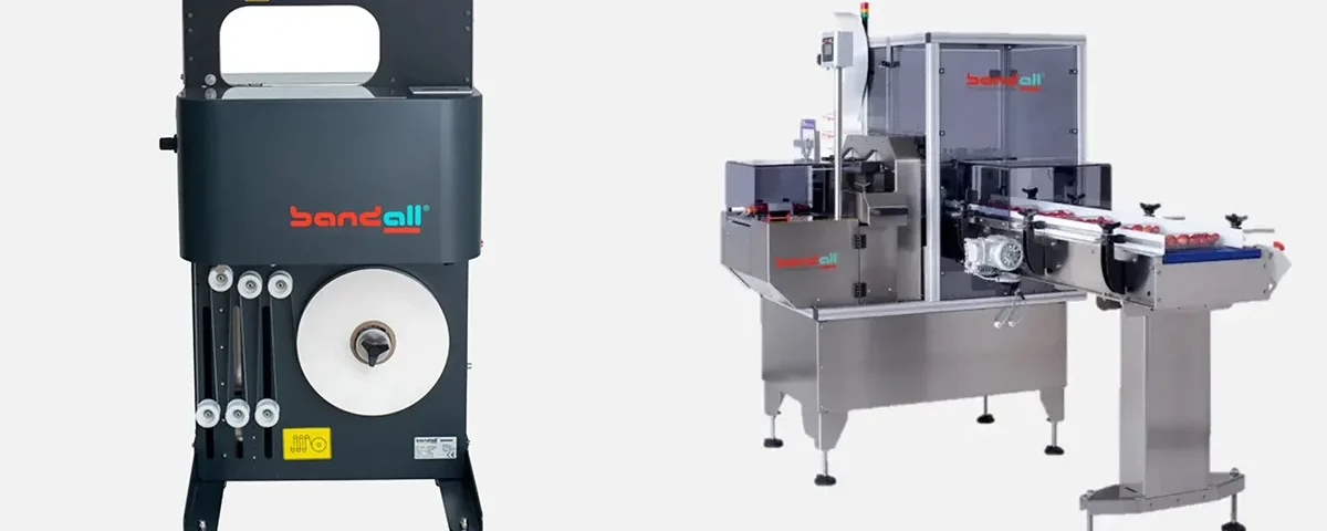 Stand alone vs automatic banding machine on a production line