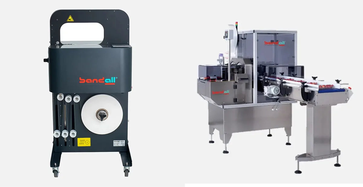 Stand alone vs automatic banding machine on a production line